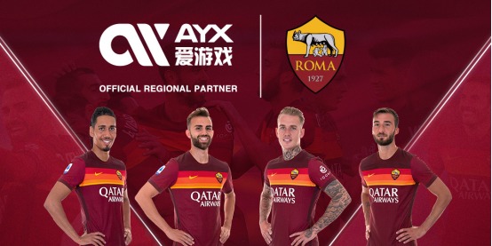 产业经验教